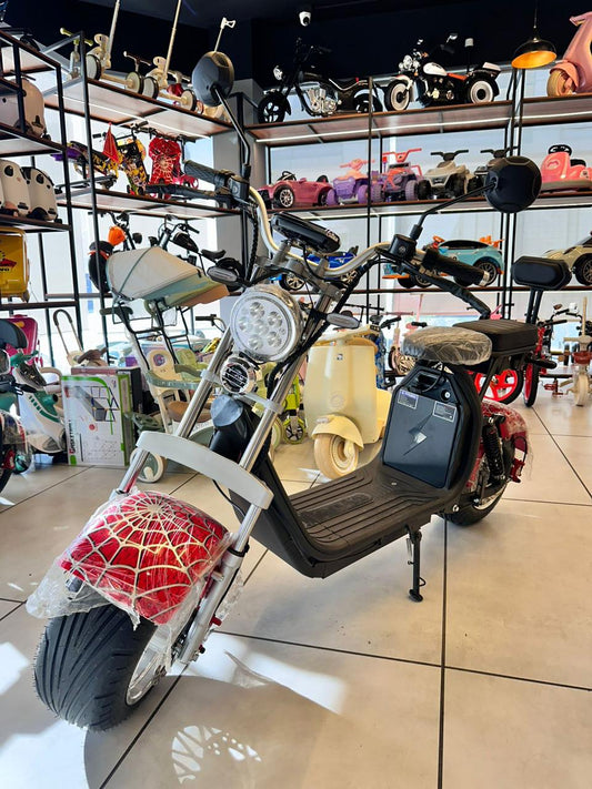 COCO High Performance Electric Scooter - 65 KM Long Range Battery