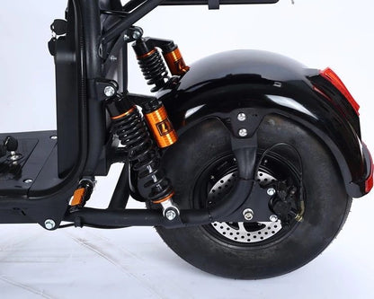 Coco Electric Scooter Full Size - Upto 65km Range